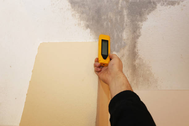 Best Emergency Mold Remediation  in Pleasantville, NY