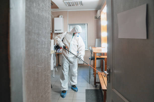 Best Basement Mold Removal  in Pleasantville, NY