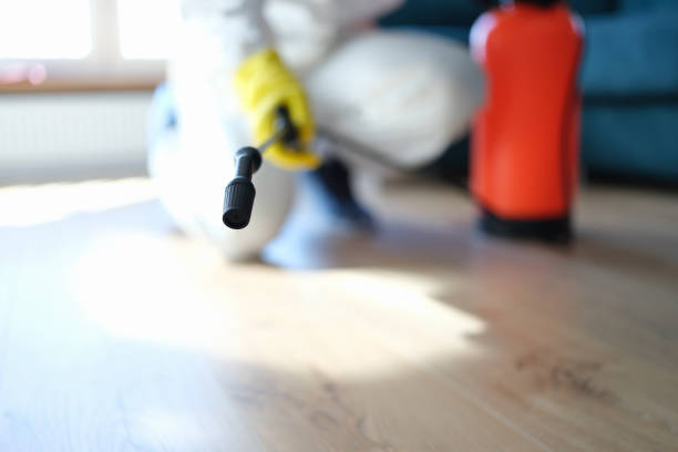Best Residential Mold Inspection & Testing  in Pleasantville, NY