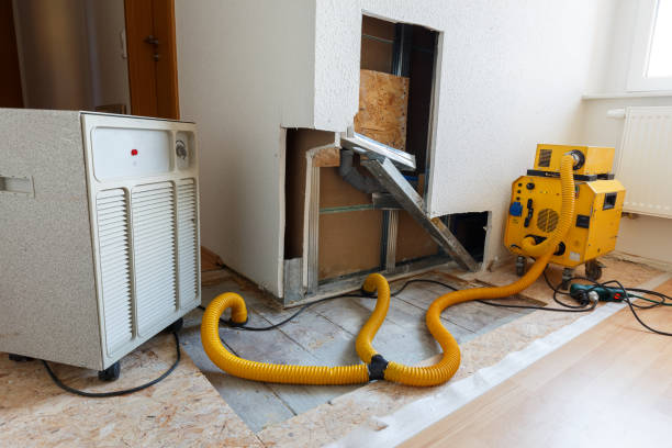 Best HVAC Mold Inspection and Cleaning  in Pleasantville, NY