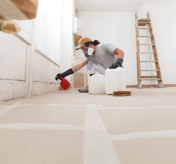 Best Mold Remediation for Healthcare Facilities  in Pleasantville, NY